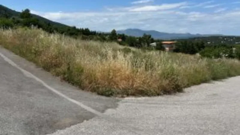 Εργασίες καθαρισμού για την αντιπυρική περίοδο 2026, στο Δήμο Διονύσου