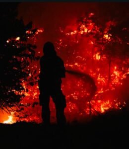 ΔΙΟΝΥΣΟΣ  ΔΥΟ ΣΥΛΛΗΨΕΙΣ ΓΙΑ ΘΕΡΜΕΣ ΕΡΓΑΣΙΕΣ