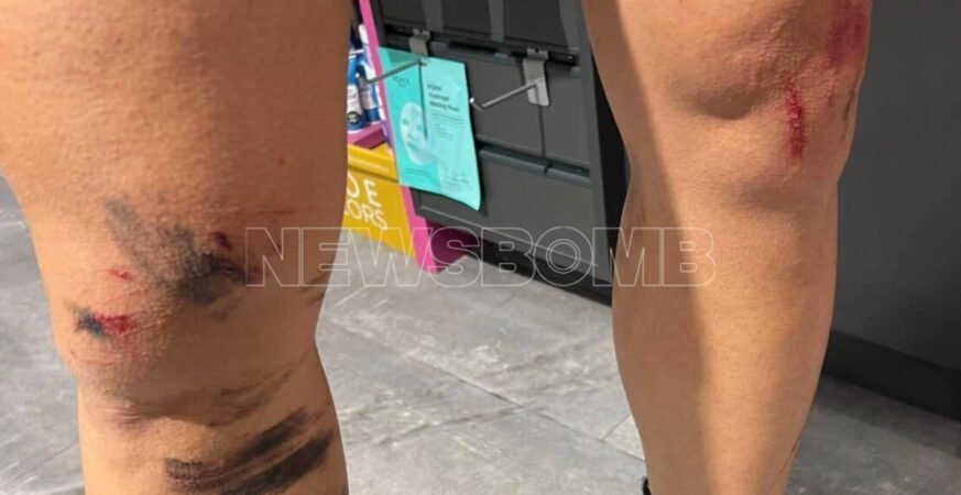 Λύκος σε δασική έκταση κοντά στο Κρυονέρι